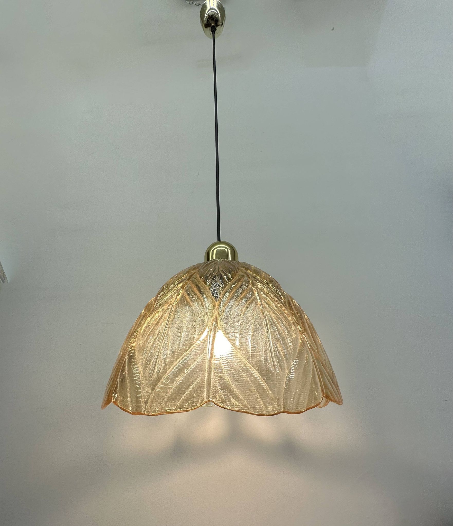 Peil & Putzer glass leaf hanging lamp , 1970’s