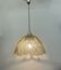 Lampe suspendue à feuilles de verre Peil & Putzer, années 1970