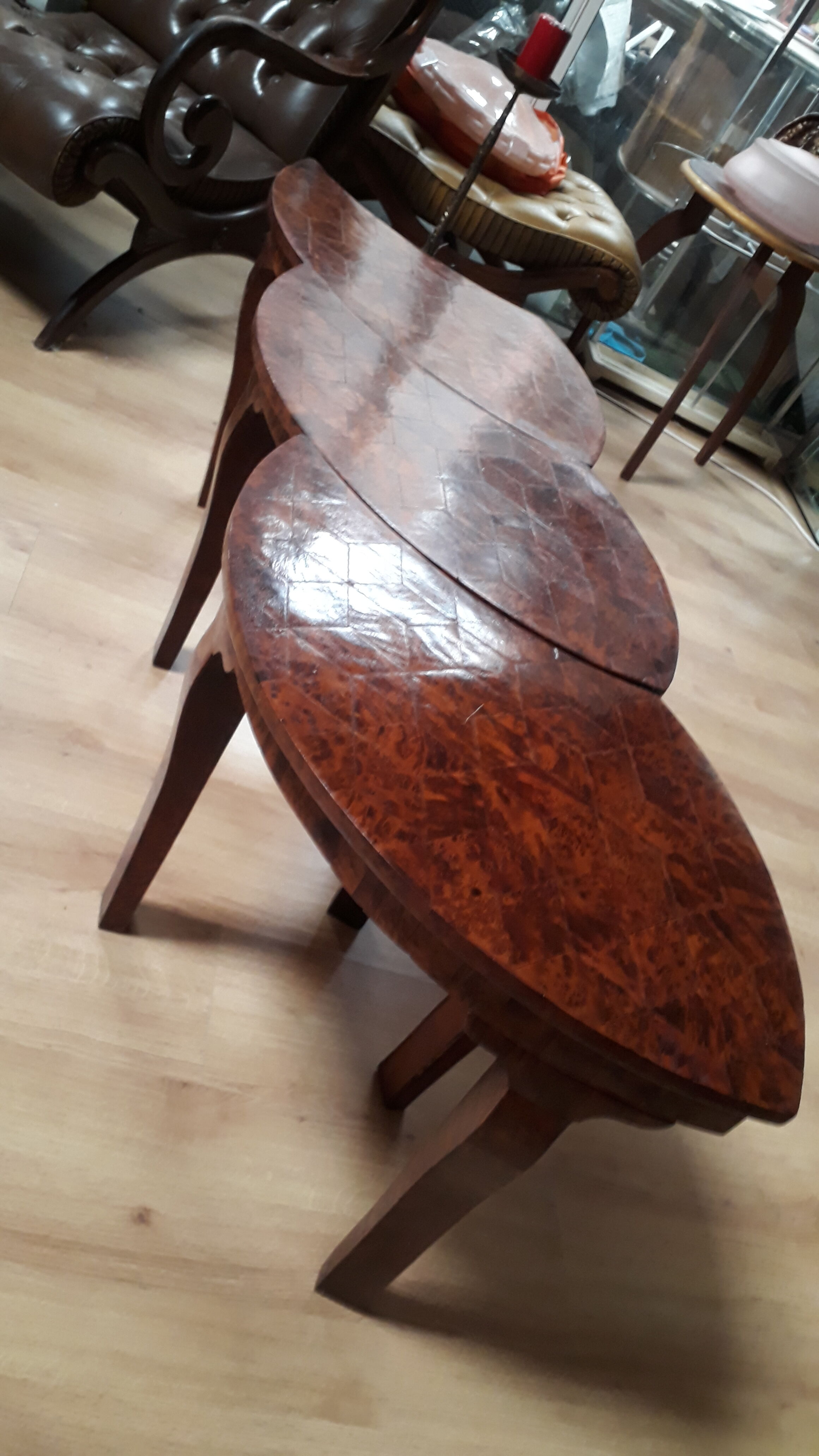 Coffee table in thuya magnifying glass 1960