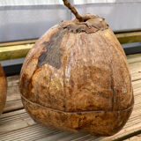 Pair of coconut ice buckets