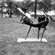 Iron horse sculpture by Raphael Saintenoy, Europe 1960s