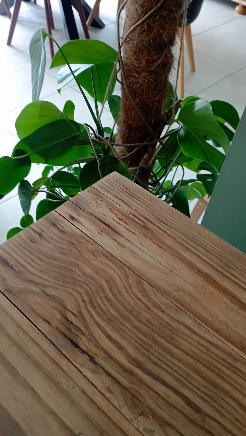 Pair of antique benches