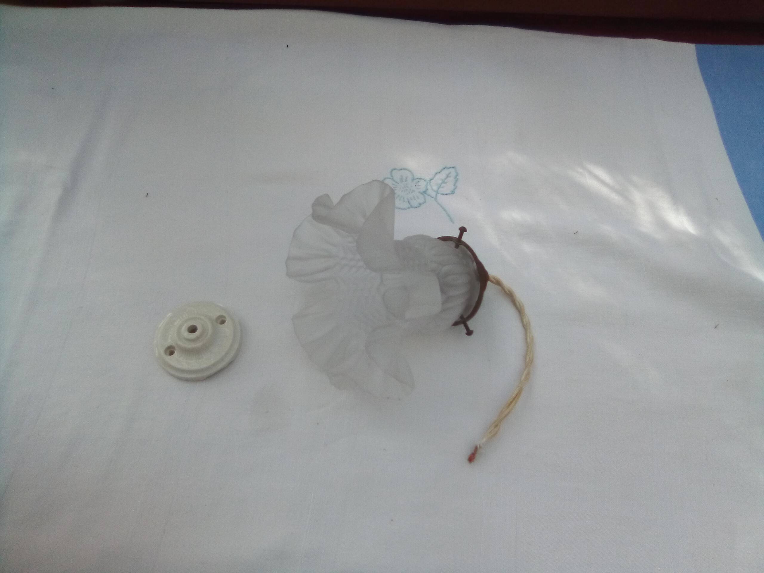 Glass tulip pendant light