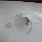 Glass tulip pendant light