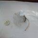 Glass tulip pendant light