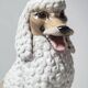 Caniche en céramique, Italie années 60