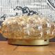 Bubble wall lamp by Helena Tynell for Limburg
