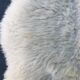 Thick and natural sheepskin 100 cm x 60 cm