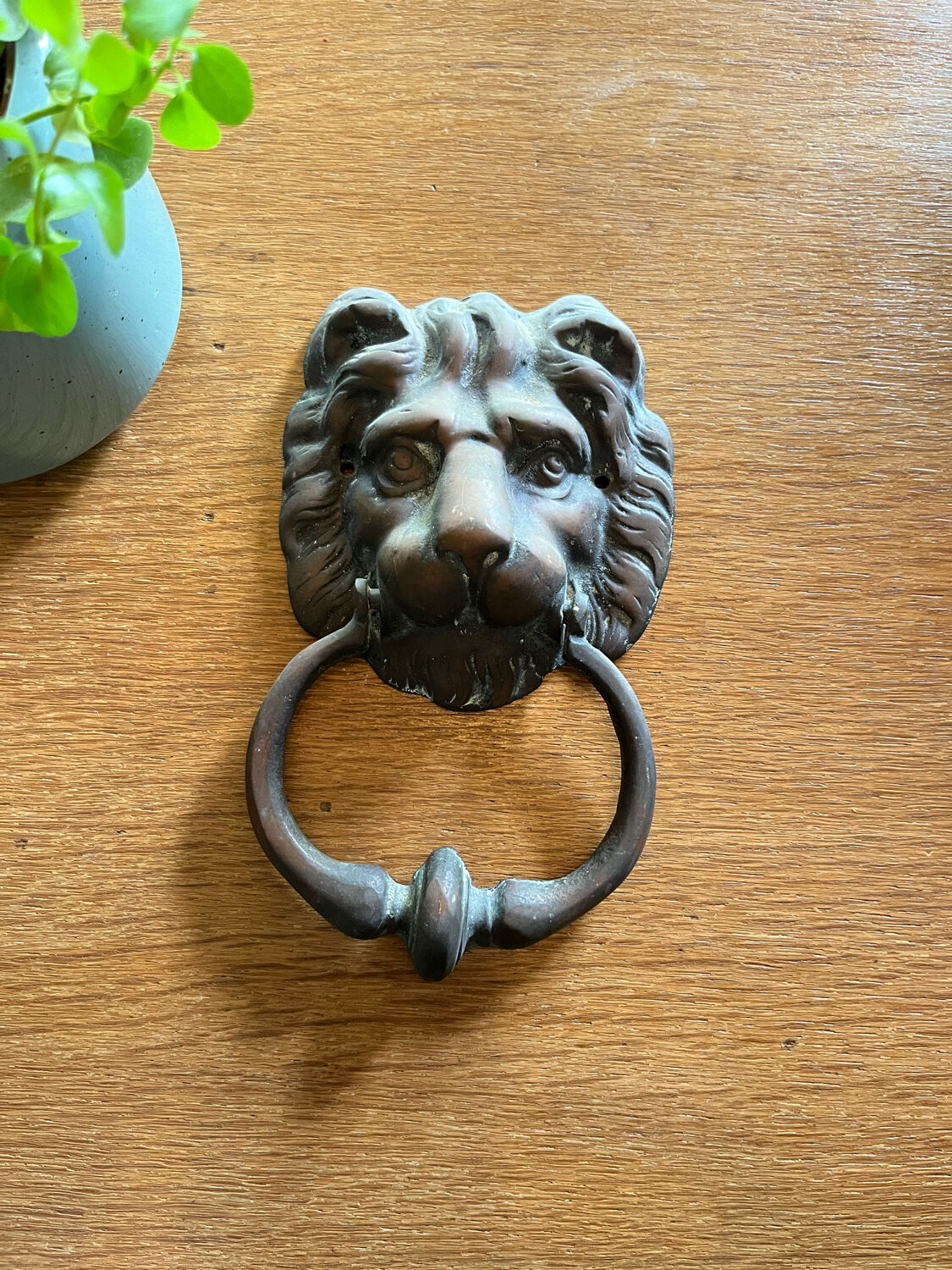 Lion head door knocker