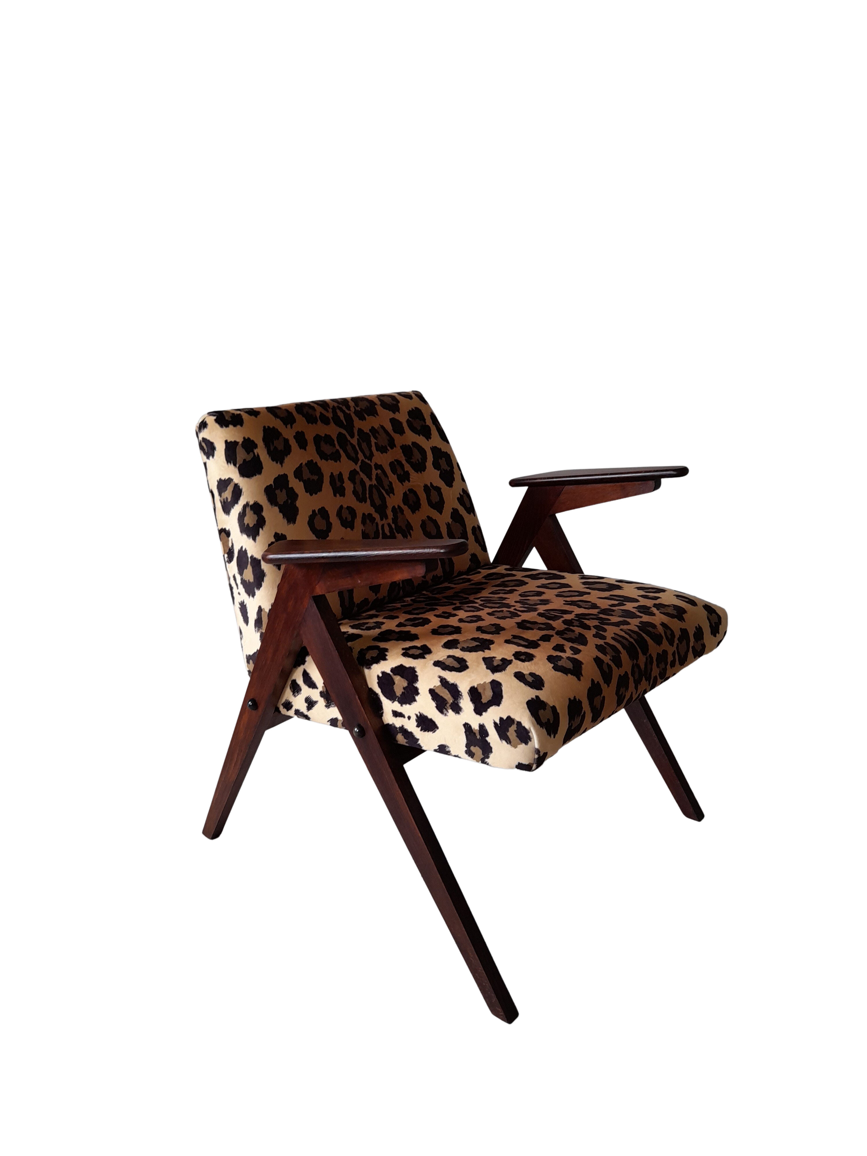 Leopard print velvet bunny armchair from dolnośląskie fabryki mebli, 1960