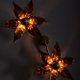 Willy Daro double wall sconce 1970