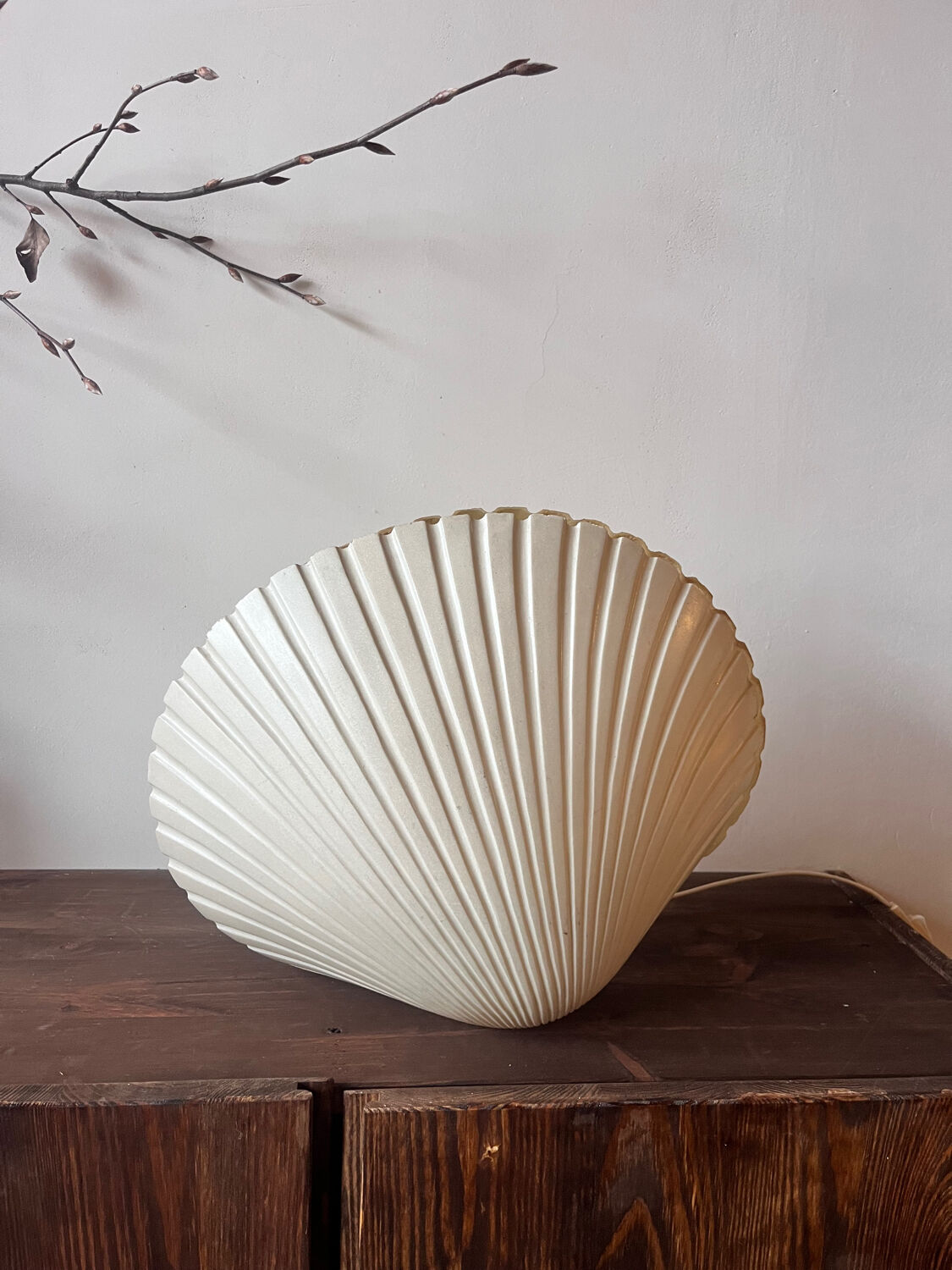 Shell lamp by Michel Mahé + André Cazenave po