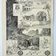 Old engraving 1898, Algeria, fauna and flora, Arabic • Lithograph, Original plate