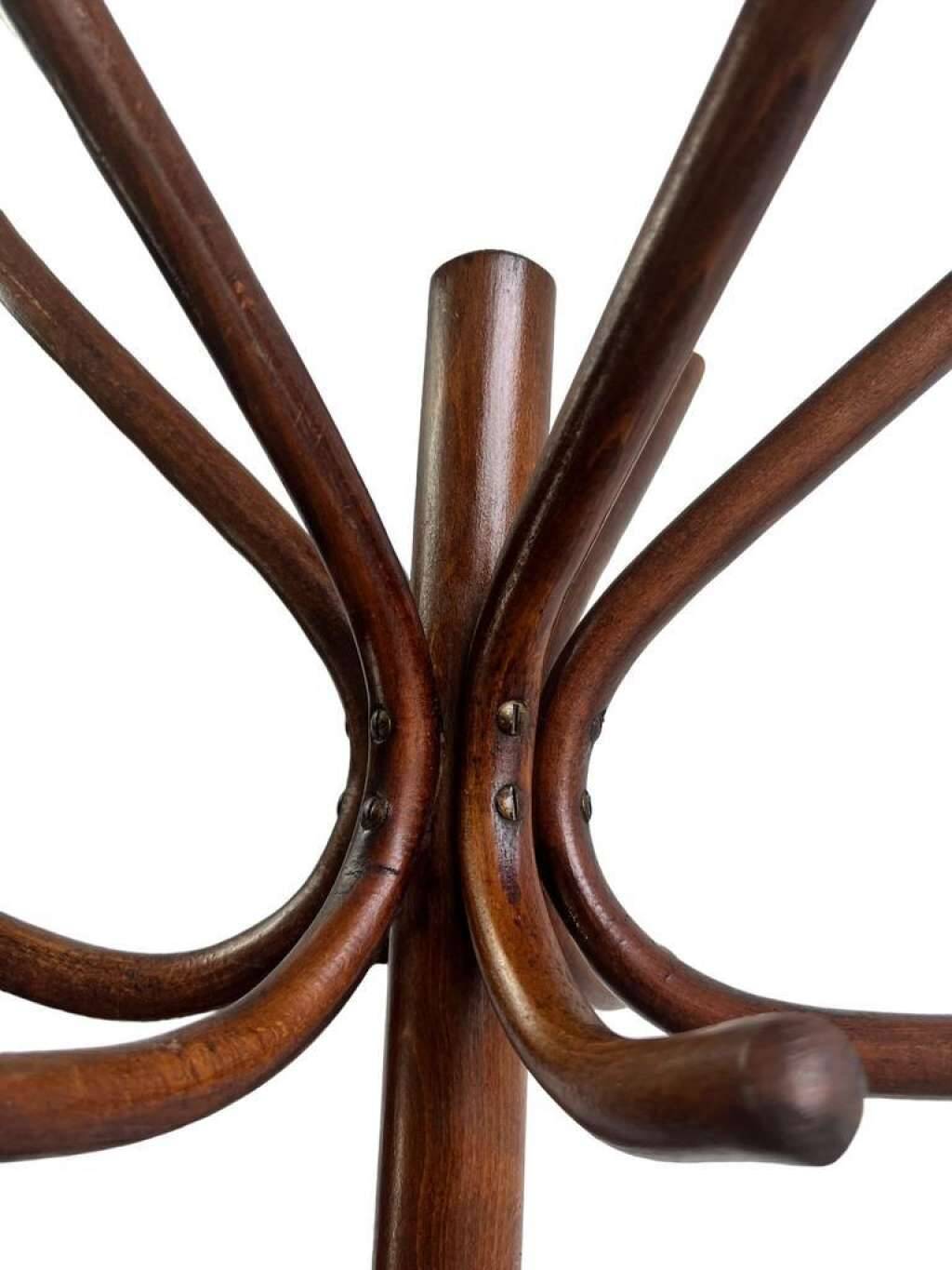 Vintage coat rack on floor in curved wood, thonet style