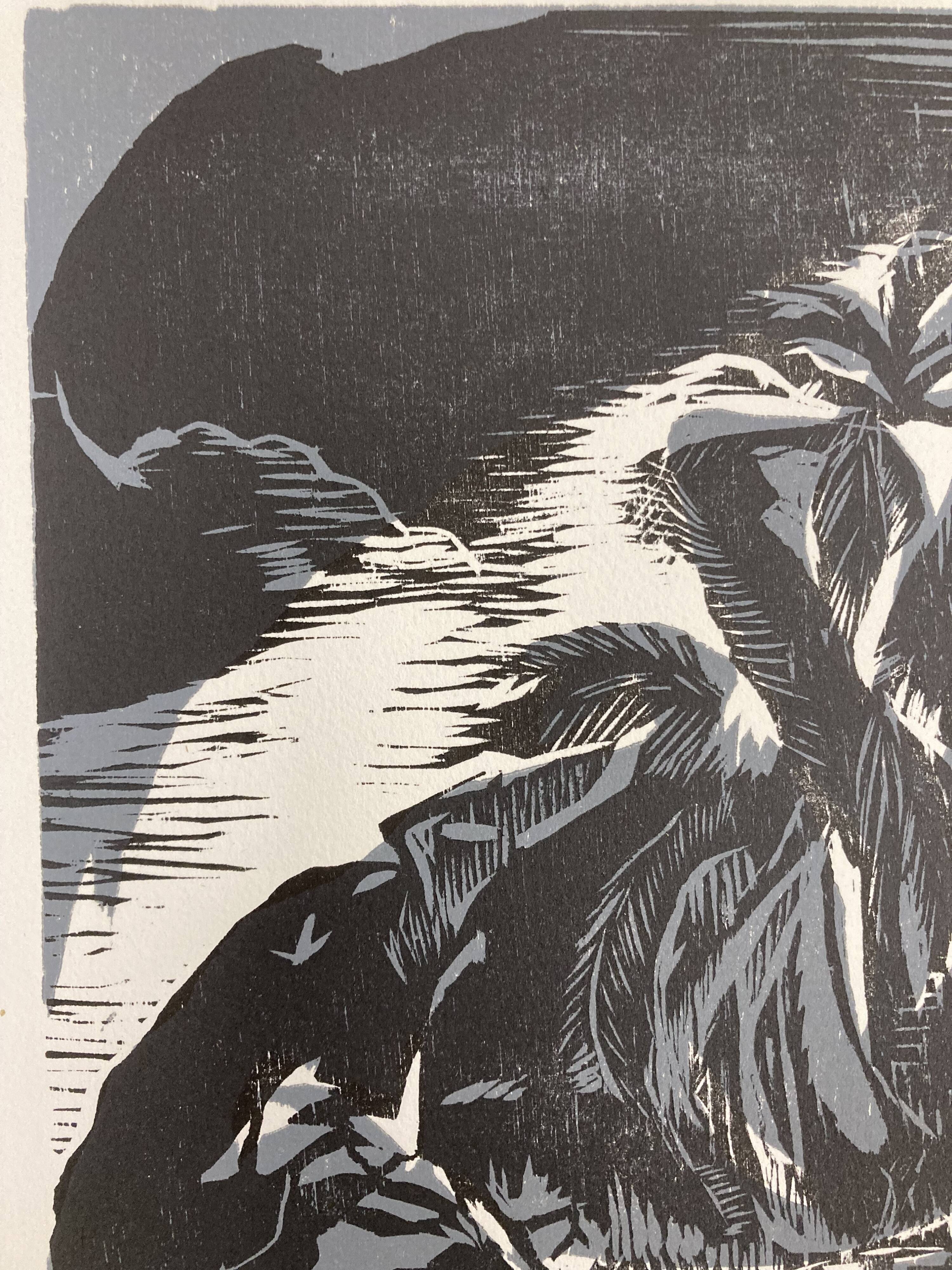 Illustration Le Bois des Cocotiers