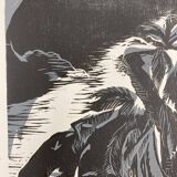 Illustration Le Bois des Cocotiers