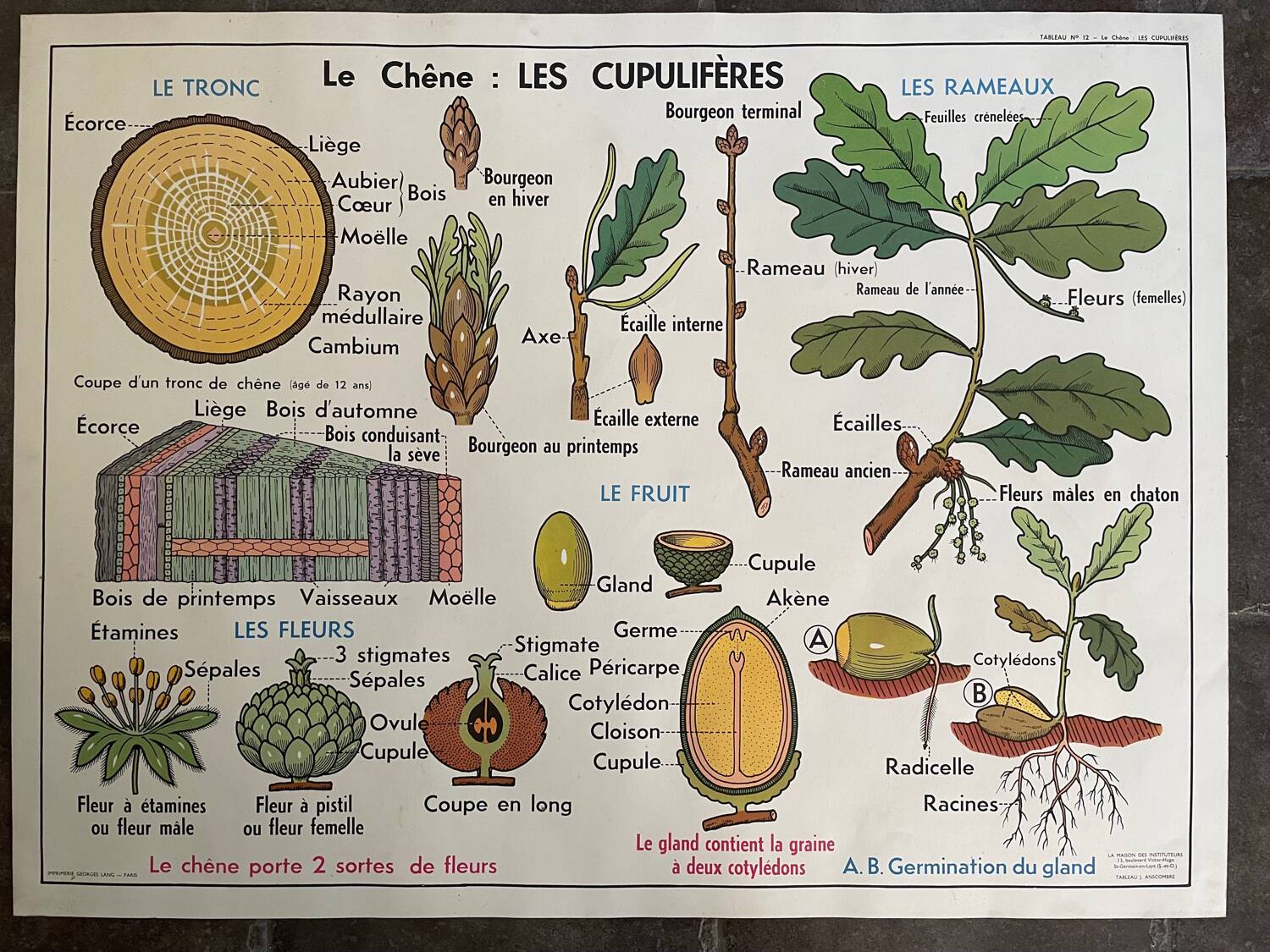 Ancienne affiche pédagogique scolaire école