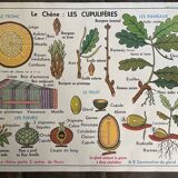 Old school educational poster