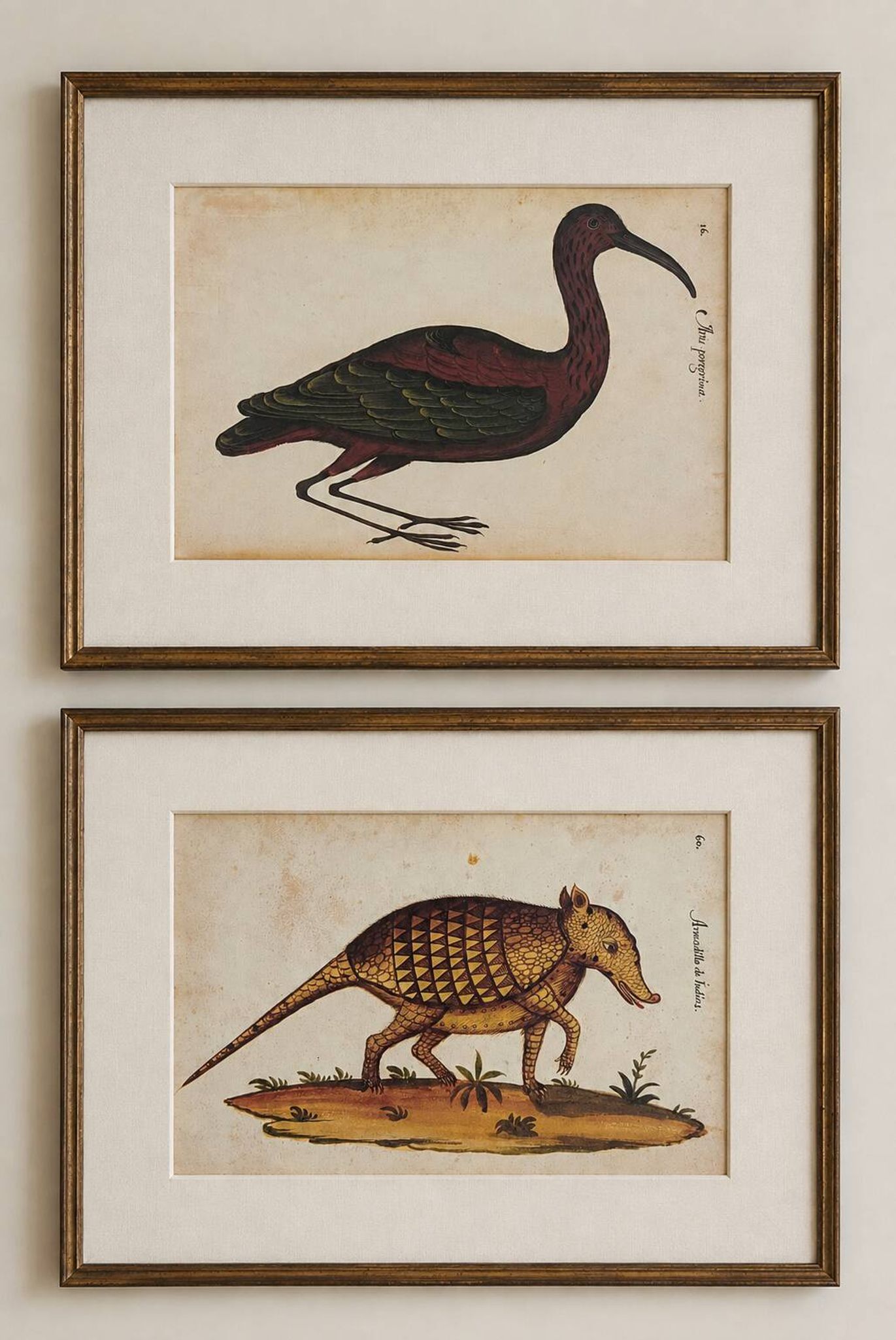Paire de reproductions du Codex Pomar d'Histoire Naturelle, Valence, 1990