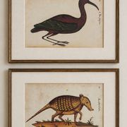 Paire de reproductions du Codex Pomar d'Histoire Naturelle, Valence, 1990
