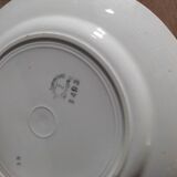 Flat plates blue flower Badonviller