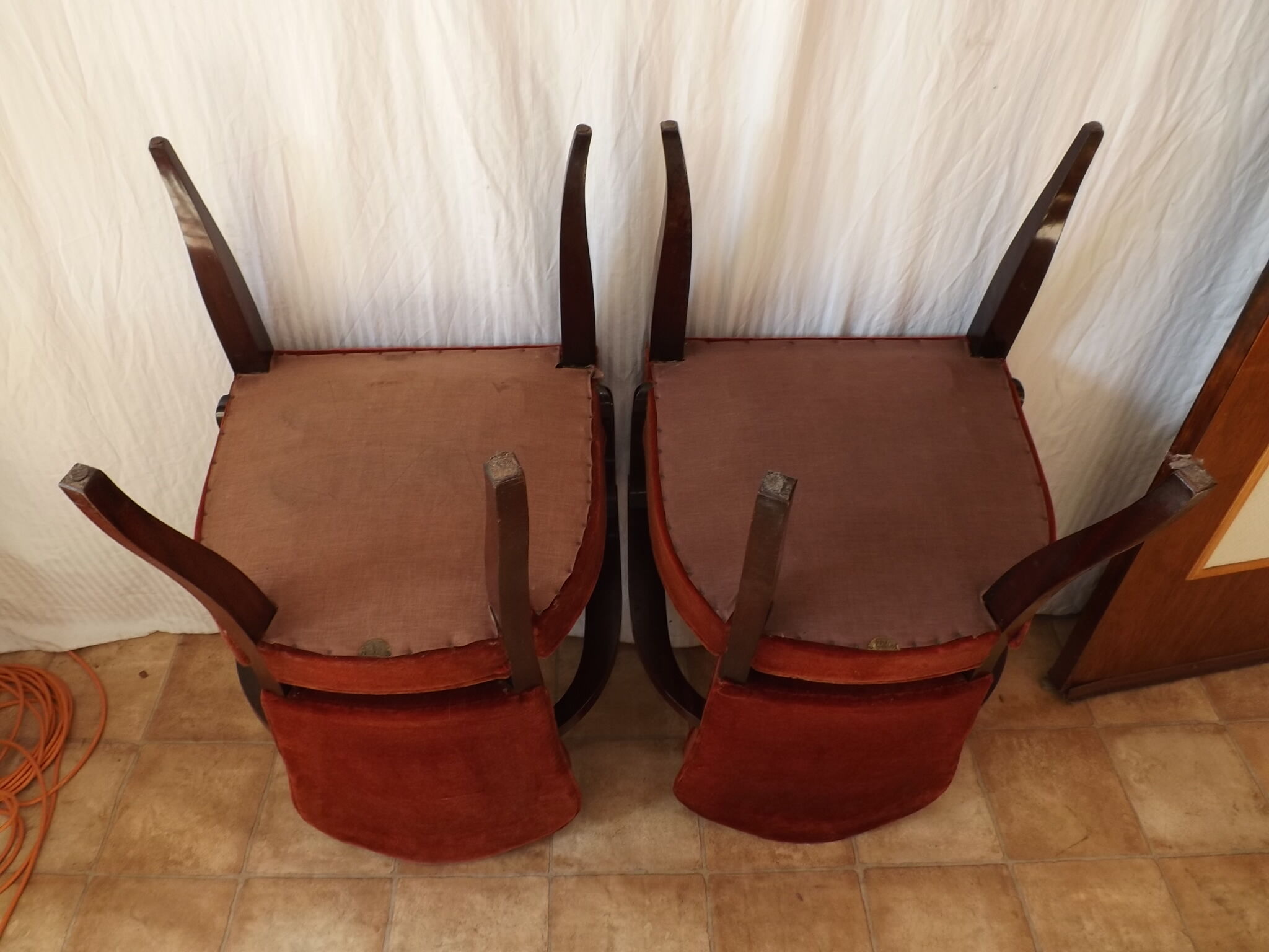 Pair of chairs Gaston fish 1950