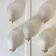 Frosted glass shell wall lights