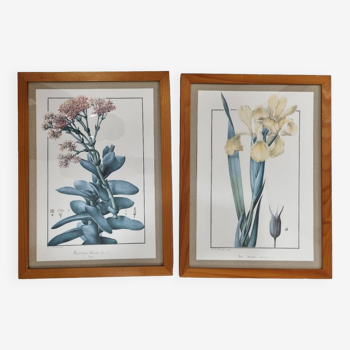 Framed botanical plates