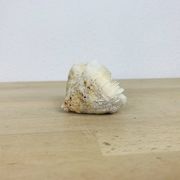 3 old white corals, coral
