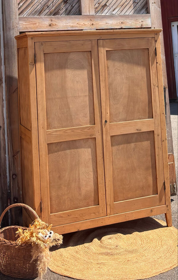 Petite armoire ancienne en bois brut : penderie +étagères