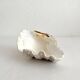 Natural shell holy water font empty pocket.
