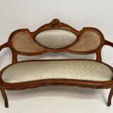 Salon Louis XVI canned and molded medallion