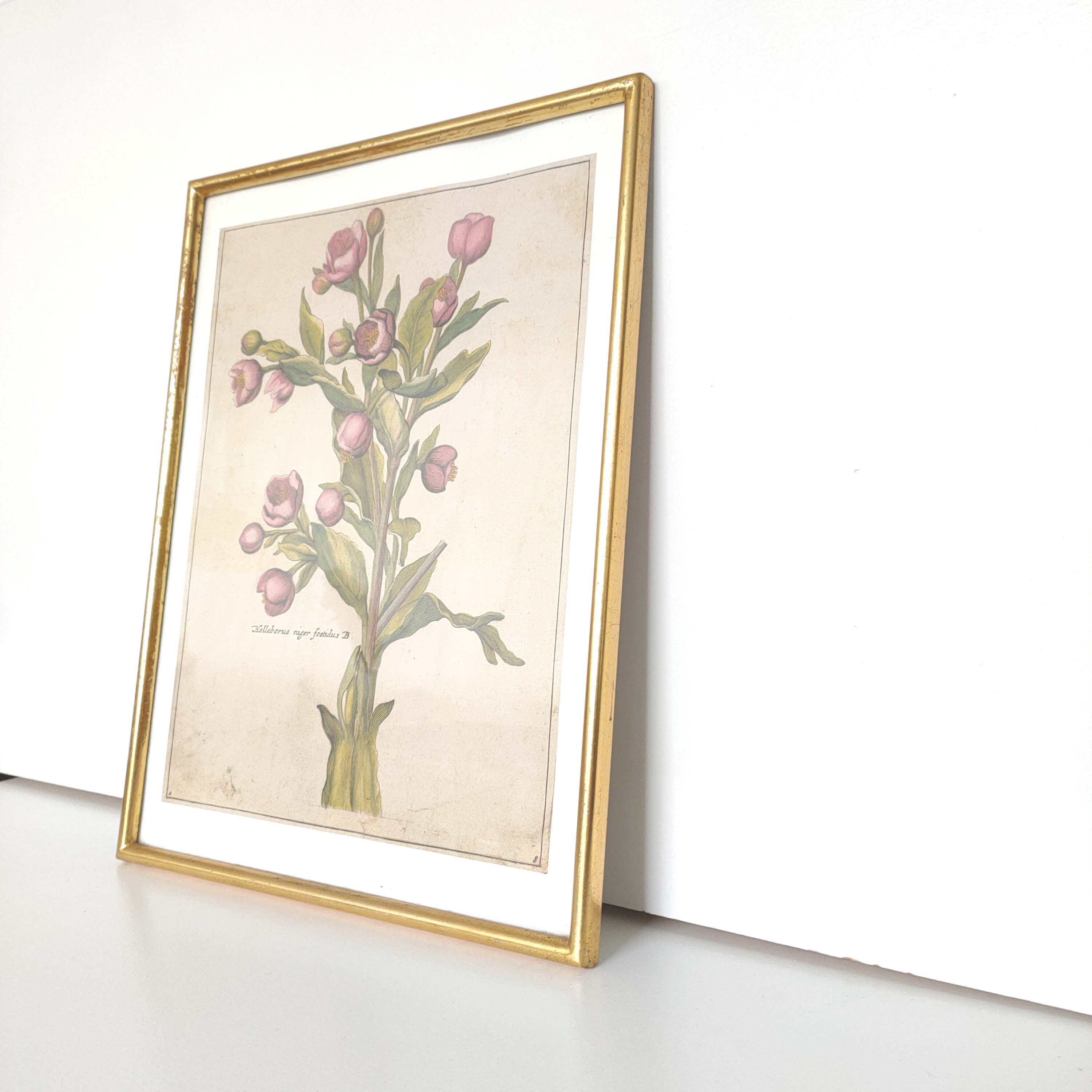 Botanical poster cade gilded wood
