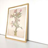 Botanical poster cade gilded wood