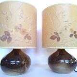 Pair of sandstone lamps 70 shade inclusion dried flowers