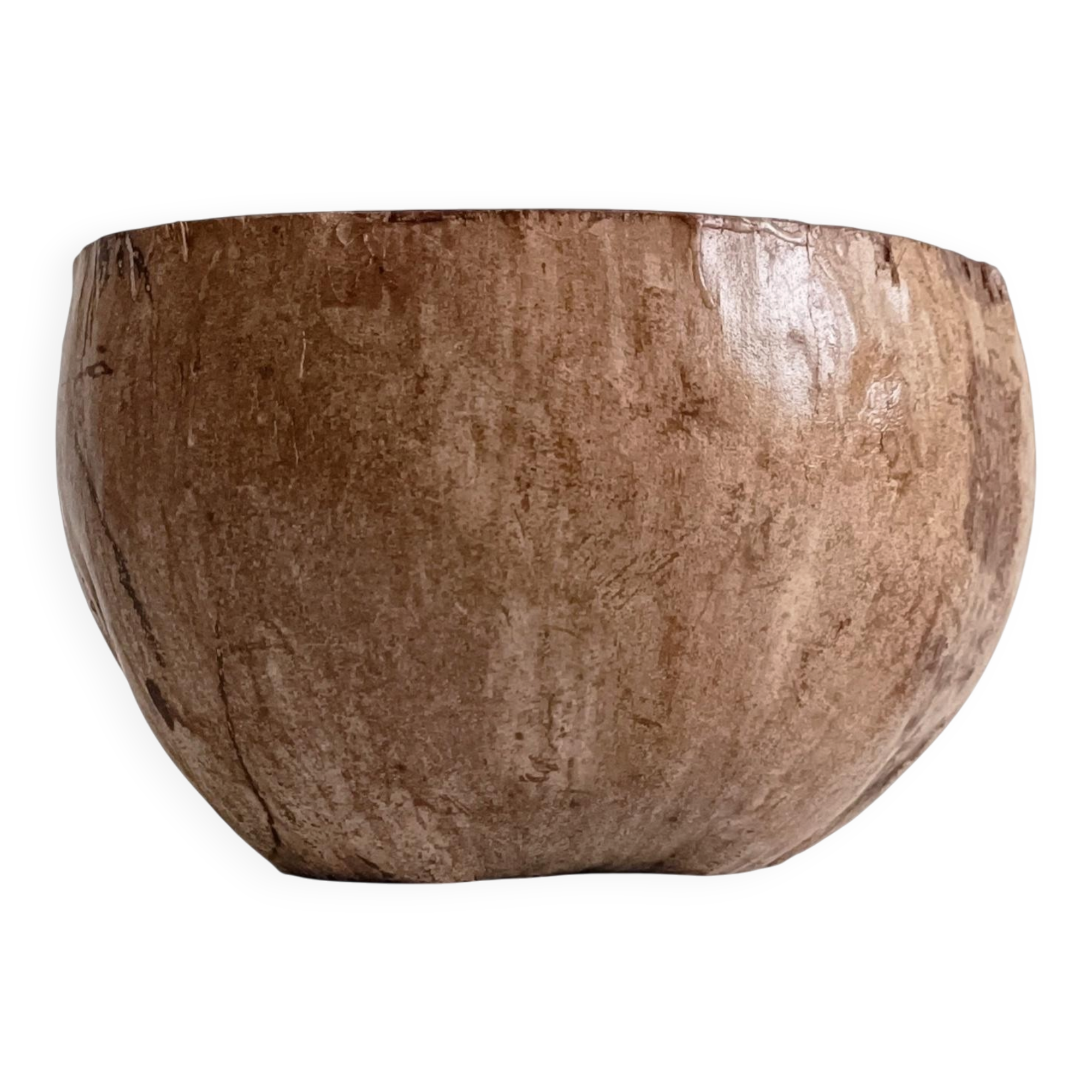 Wabi Sabi Organic Modern Coco de Mer Centerpiece, Hand-Carved, 19th C.