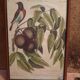 Botanical plate