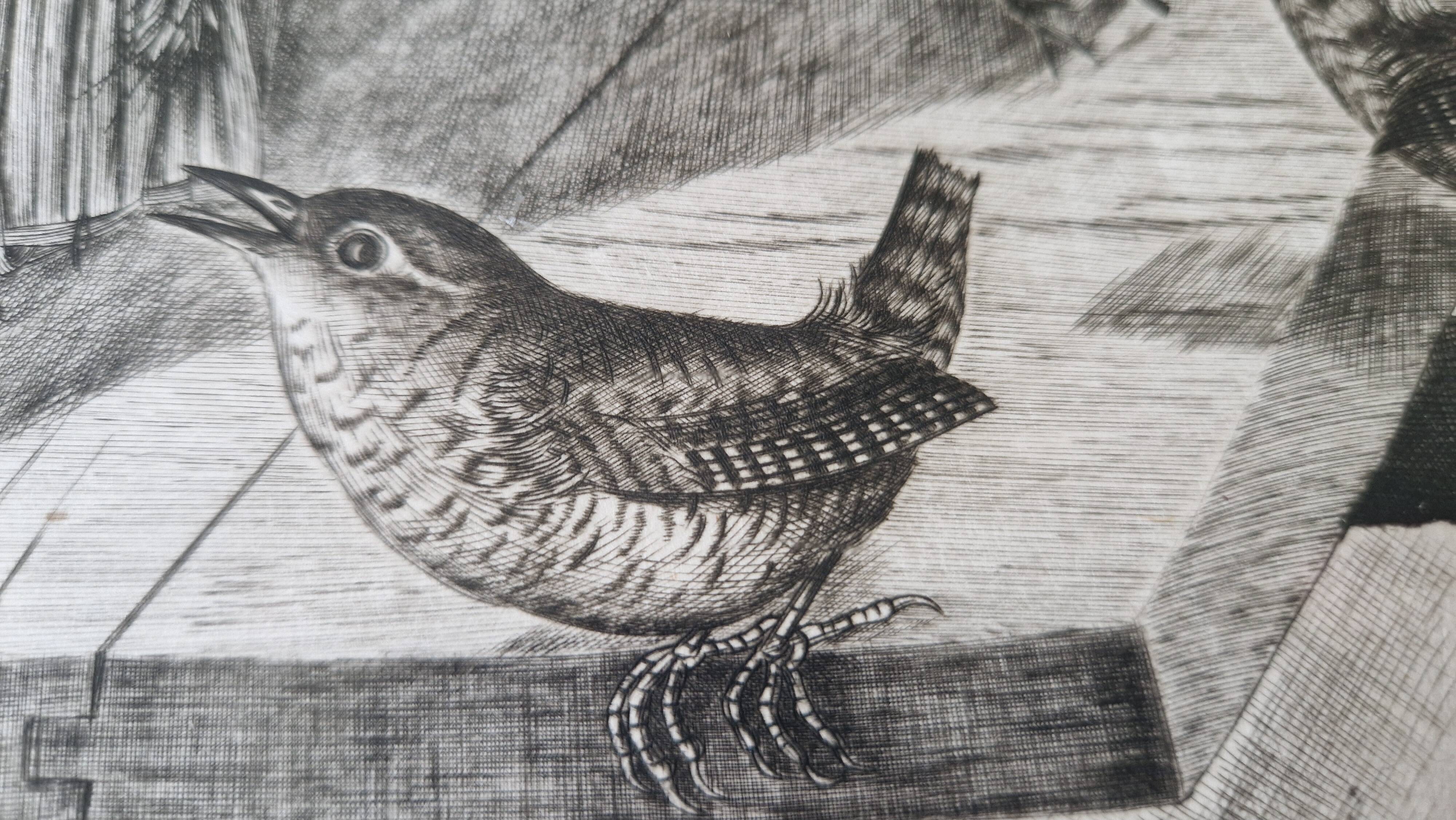 Original engraving / engraving by JB Tavy Notton, "The troglodyte", circa 1970