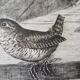 Gravure / burin original de JB Tavy Notton, "Le troglodyte", circa 1970