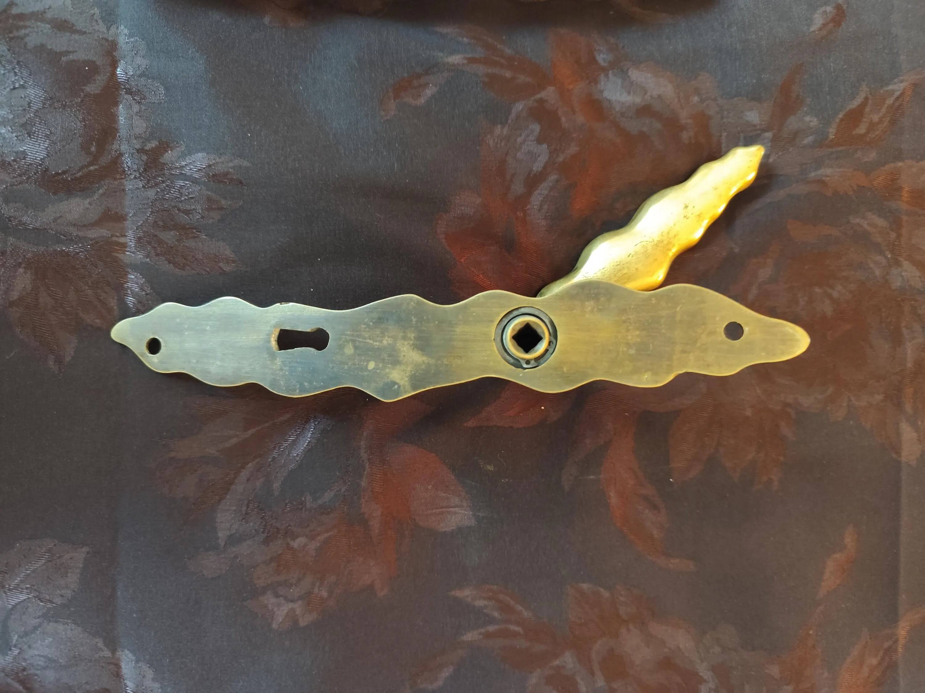 Pair of brass door handles with their cover plates