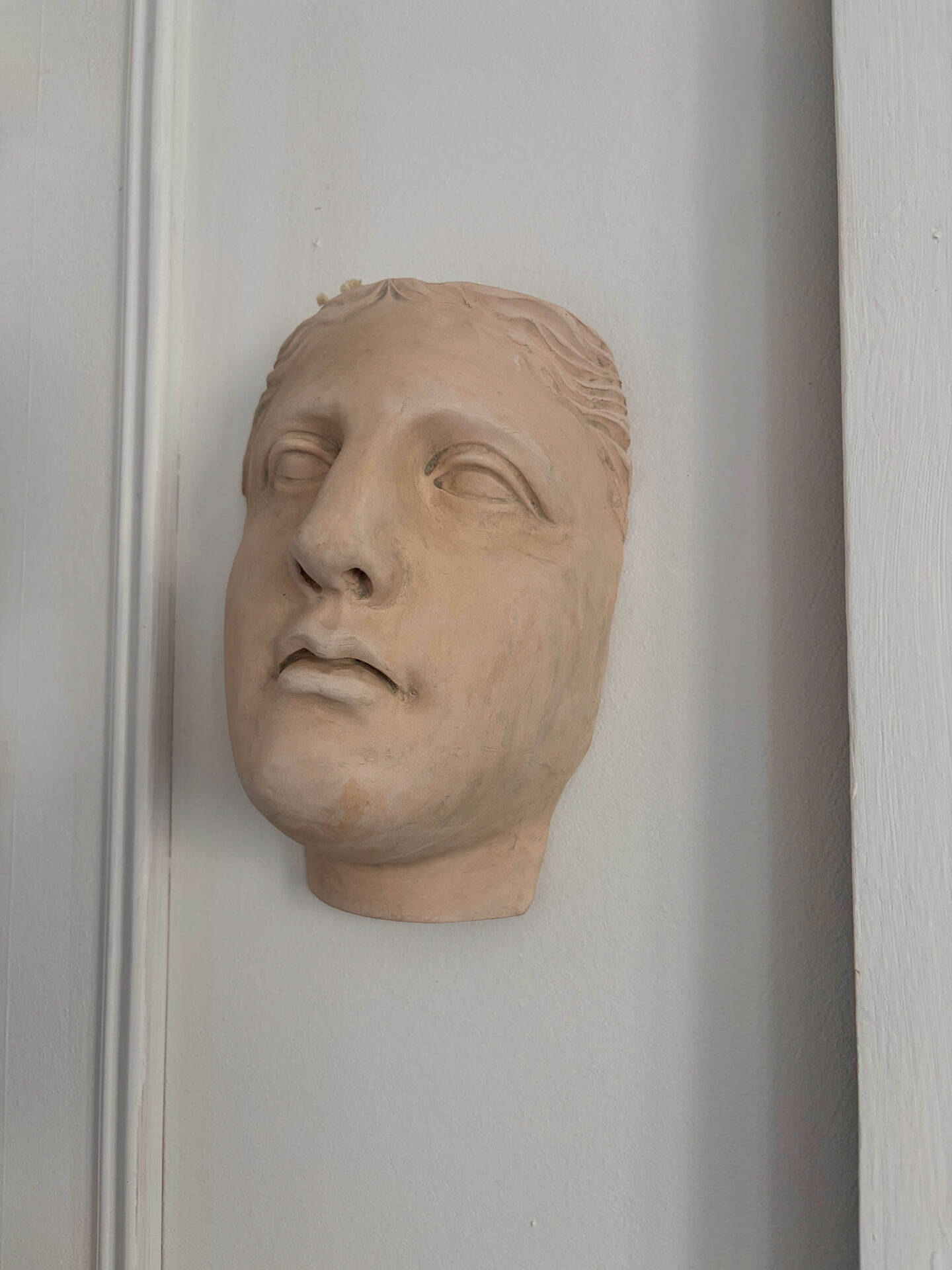 Wall sculpture of the face of the Venus de Milo in plaster.