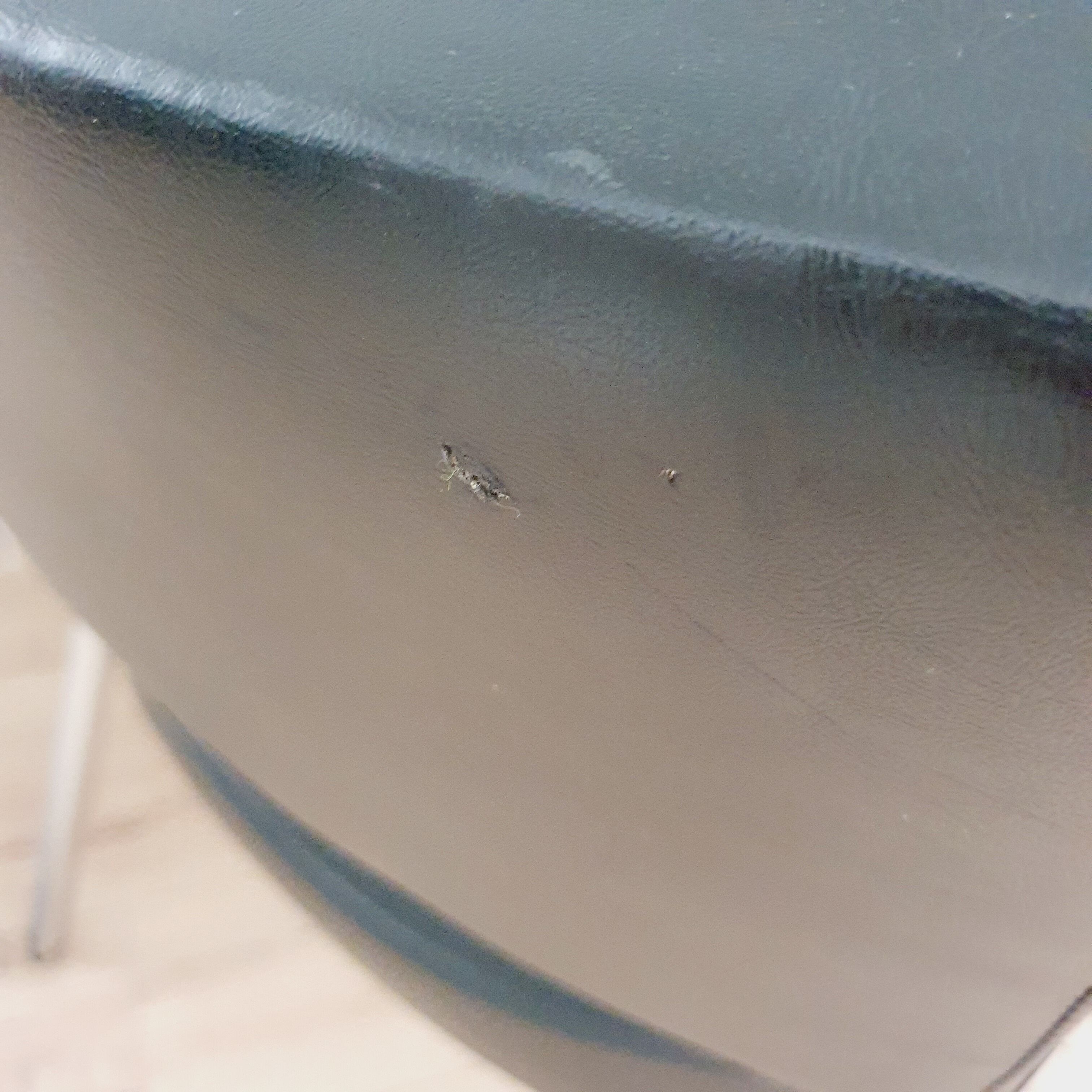 Pair of black skaï and chrome armchairs