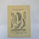 Botanical engraving butterflies double-sided naturalist plate Etching