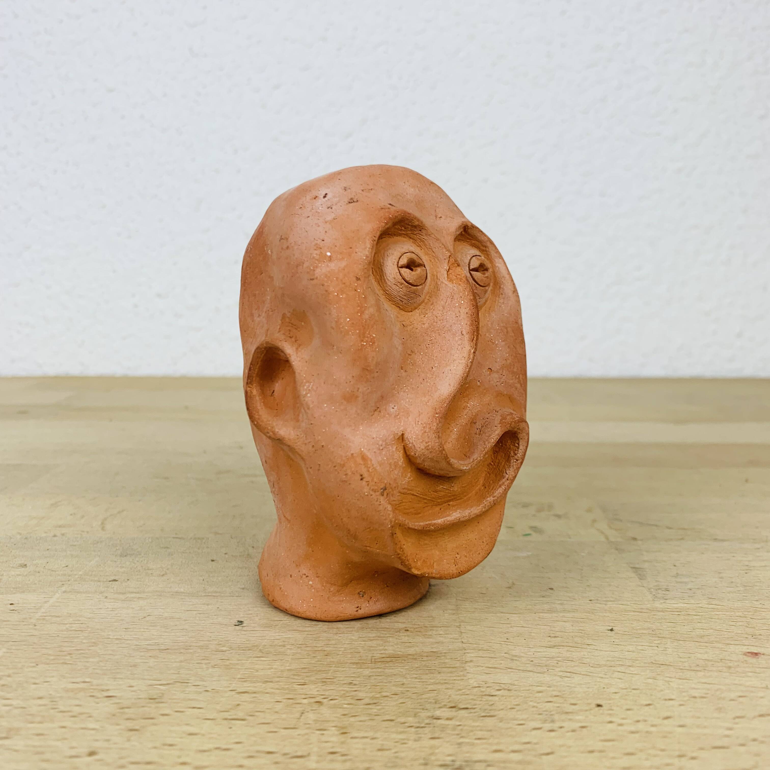 Terracotta head/bust, object of curiosity