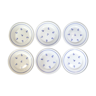 6 dessert plates in faience new model geneve small blue flower