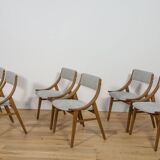 Ski Jumper Chairs from Zamojska, Poland, 1970s, Set of 6
