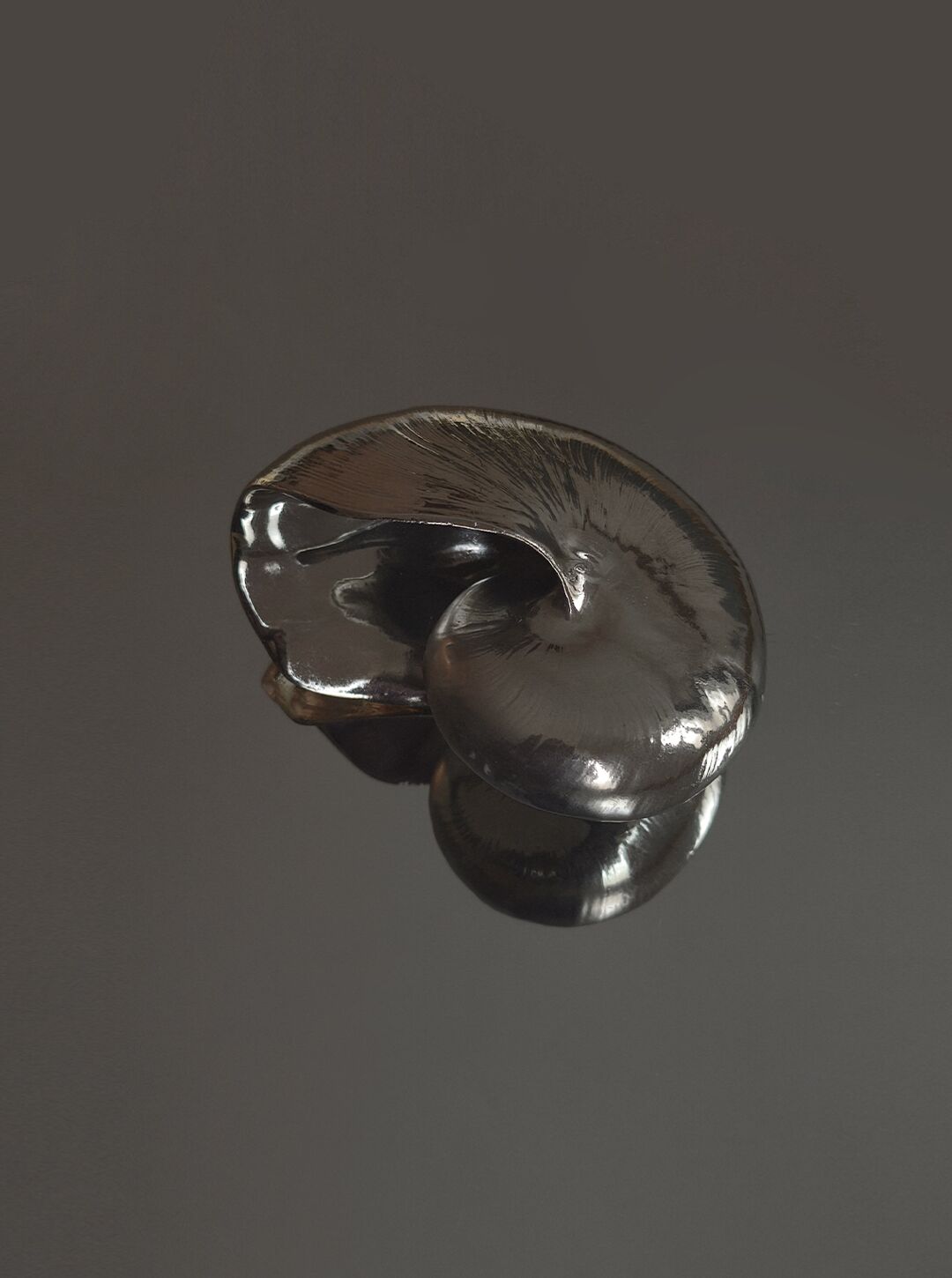 Nautilus Shell Sculpture