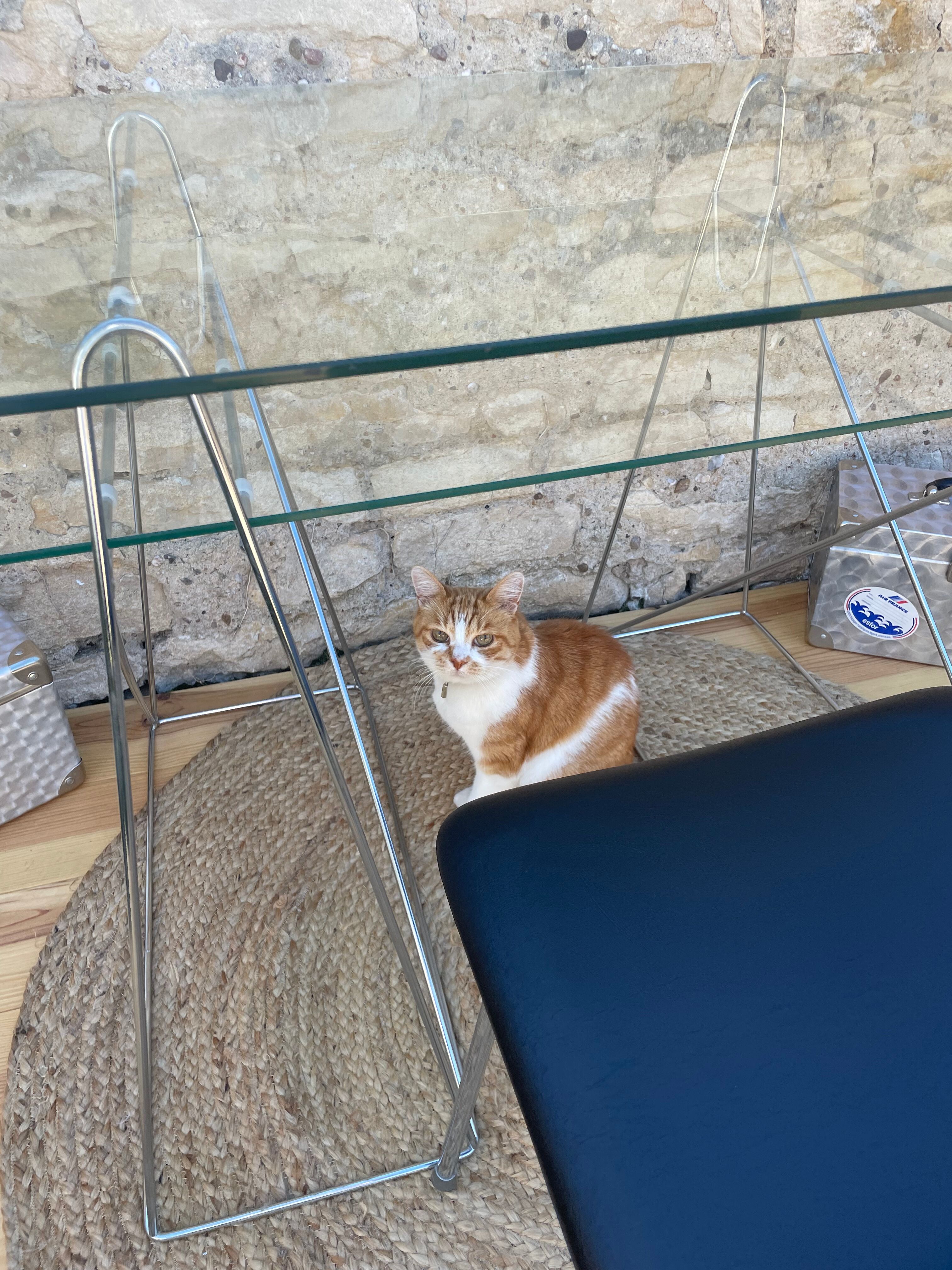 Modernist desk chrome and glass