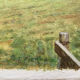Watercolor painting "Countryside landscape with village and pasture" signed Pickop