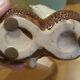 Small vintage enameled ceramic bird bowl